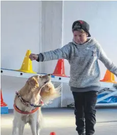  ?? FOTO: ARCHIV ?? Gemeinsame Zeit zum Spielen: Kinder und Hunde können in der Hundeschul­e zusammen lernen.