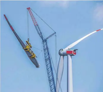  ?? FOTO: LIEBHERR ?? Das Single-Line-Guiding-System stabilisie­rt die Rotorblatt-Traverse mit Flügel im Wind.