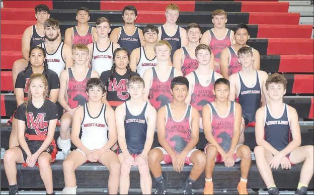  ?? RICK PECK/ SPECIAL TO MCDONALD COUNTY PRESS ?? The 2020-2021 McDonald County High School wrestling team.