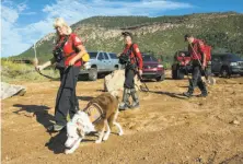  ?? Angie Wang / Associated Press ?? Volunteer rescuers search for a 27-year-old man who was swept away in floodwater­s in Arizona’s Tonto National Forest.