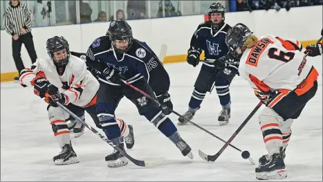  ?? STEVEN MAH/SOUTHWEST BOOSTER ?? Wildcats’ forward Ashlee Wolfe (centre) broke through the Prince Albert Bears defense during a two-game home sweep.