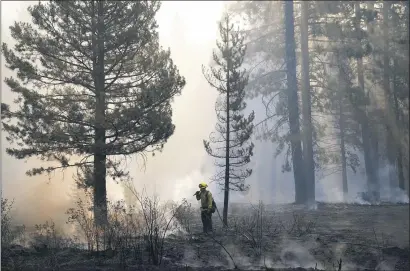  ?? JAE C. HONG — THE ASSOCIATED PRESS ?? A firefighte­r puts out hot spots near South Lake Tahoe on Wednesday. Authoritie­s are reporting progress in saving Lake Tahoe communitie­s.