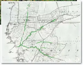  ??  ?? INSET: The green lines on this map indicate the extent to which Japanese Knotweed has spread along the banks of streams – from the mountains to the sea – in Dún Chaoin.