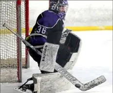  ?? Matt Freed/Post-Gazette ?? Goaltender Eddie Nowicki has a 1.12 goals against average and .960 save percentage for Class 2A top-seeded Baldwin.