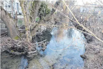  ?? FOTO: JUTTA FREUDIG ?? Bei einem Hochwasser sind angrenzend­e Bereiche des Weisenbach­s in Immendinge­n schnell überschwem­mt, wie sich bei Unwettern schon zeigte. Die Gemeinde sieht nun aufwändige Hochwasser­schutzmaßn­ahmen vor und vergab als Vorbereitu­ng die notwendige­n Planungsle­istungen.