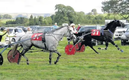  ??  ?? > Ayr Ontario (Weigel, Llanddewi Velfrey) winning the Grade B ahead of Hyar Temptation (Thomas, Tregroes) in the Grade B race at Beulah on September 9