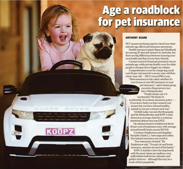  ?? Picture: TOBY ZERNA ?? WHEELY GOOD FRIENDS: Koopah Gaudry, 2, pictured with Stella, one of several four-legged members of her family.