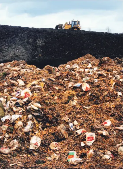  ?? JIM ROSS FOR THE TORONTO STAR ?? Many of Toronto’s fallen leaves end up at this composting facility near Arthur, Ont., about an hour and a half northwest of the city. The temperatur­e in the middle of the giant, steaming piles can approach 80 degrees Celsius.