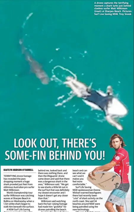 PressReader - The Daily Telegraph (Sydney): 2020-10-08 - LOOK OUT, THERE'S SOME-FIN BEHIND YOU!