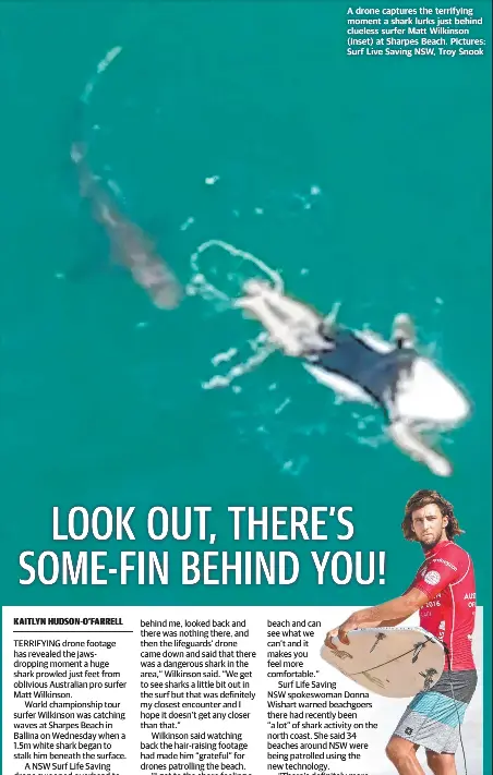 PressReader - The Daily Telegraph (Sydney): 2020-10-08 - LOOK OUT, THERE'S SOME-FIN BEHIND YOU!