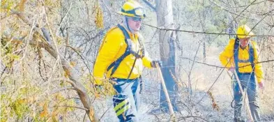  ?? /CORTESÍA: URSVA ?? Fue gracias a la labor de casi 100 personas que se pudo apagar el incendio