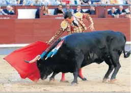  ?? ?? Manzanares torea en redondo a uno de los toros que le tocaron en suerte.