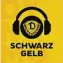  ?? ?? Schwarz-Gelb, der Dynamo-Podcast – jeden Mittwoch neu, hintergrün­dig und mit aktuellen Infos zur Sportchefs­uche sowie den Abgängen nach der Saison: www.szlink.de/ dynamo-podcast
