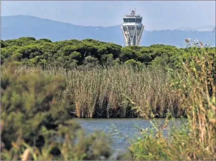  ?? / ALBERT GARCIA ?? La torre de control de El Prat, desde la laguna de La Ricarda, el jueves.