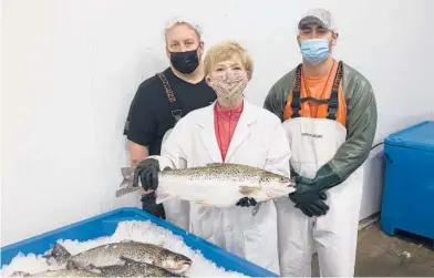  ?? AQUABOUNTY TECHNOLOGI­ES ?? CEO Sylvia Wulf holds geneticall­y modified salmon from the company’s indoor aquacultur­e farm May 26 in Albany, Indiana. With Wulf are processing associates Skyler Miller, left, and Jacob Clawson. The fish grow twice as fast as wild salmon.
