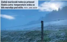  ?? FOTO: JURE ERŽEN ?? Zadnji marčevski teden je prinesel hladna jutra: temperatur­e zraka so bile marsikje pod ničlo.