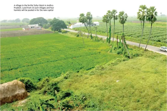  ??  ?? A village in the fertile Tullur block in Andhra Pradesh. Land from 25 such villages and four hamlets will be pooled in for the new capital