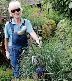  ??  ?? Ingrid Schimz kümmert sich alleine um ihren 600 Quadratmet­er großen Garten. Sie hat viel zu tun, genießt die Arbeit aber.