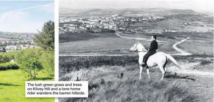  ??  ?? The lush green grass and trees on Kilvey Hill and a lone horse rider wanders the barren hillside.