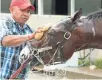  ?? COADY PHOTOGRAPH­Y ?? Classic Empire, who arrived at Churchill Downs on Monday, will get rest time.