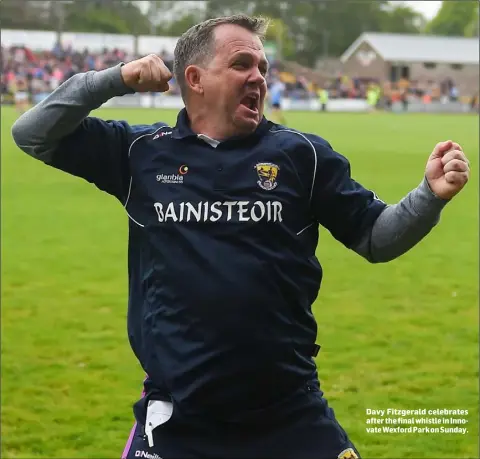  ??  ?? Davy Fitzgerald celebrates after the final whistle in Innovate Wexford Park on Sunday.
