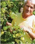  ?? Archivfoto: Sandra Baumberger ?? Pomologe Anton Klaus: In seinem Garten wachsen 520 Apfelsorte­n.