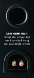  ??  ?? KEIN WEIHRAUCH: Simpel, aber stringent liegt eine Bassreflex-Öffnung über einem Single-Terminal.