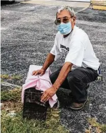  ?? San Antonio Feral Cat Coalition ?? A volunteer from the San Antonio Feral Cat Coalition picks up a trapped cat for trap-neuter-return.