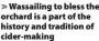  ?? ?? Wassailing to bless the orchard is a part of the history and tradition of cider-making