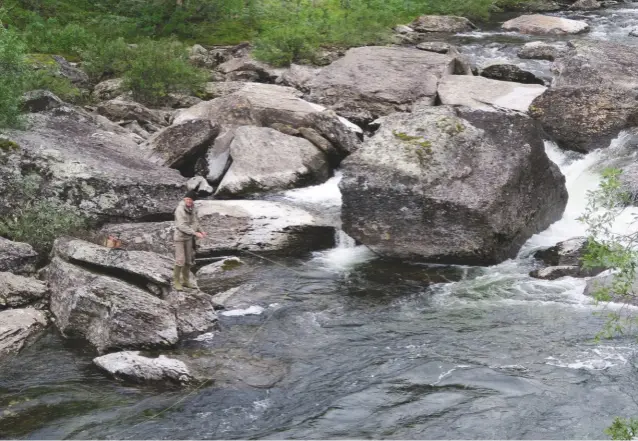  ??  ?? Above: rapids on the Tjaktjaurä­lven – the rivers change character at every turn. Top right: landing a small perch in the Sámpi region – this one was returned. Above, right: the writer on the Piteälven