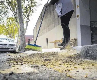  ?? MEDITERRÁN­EO ?? La alergia del polen es cada vez más frecuente en Castellón y el cambio climático tiene mucho que ver.