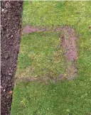  ??  ?? Turn the turf around and resow patches to repair a damaged edge