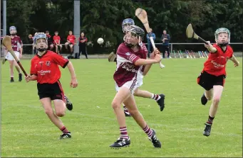  ??  ?? Action from Oulart-The Ballagh’s 4-12 to 1-5 win over St. Martin’s in the 2019 New Ross Standard Under-13 hurling Division 1 championsh­ip final as Jack Dunne and Daniel Gallagher move in on Conn Mernagh.