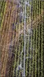  ?? HYOSUB SHIN / HYOSUB.SHIN@AJC.COM ?? Sprinklers irrigate farmland in Vada last month. Florida wants cuts to such irrigation in southwest Georgia.
