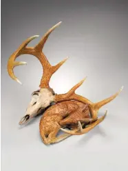  ??  ?? Paul Rhymer, Once and Future Kings (Whitetail Skull and Fawn), bronze, ed. of 25, 12 x 20 x 16"