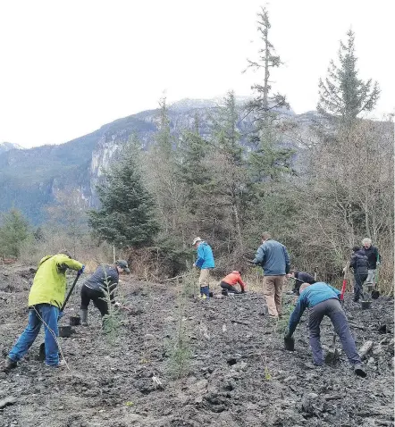  ?? — SQUAMISH RIVER WATERSHED SOCIETY FILES ?? Several Fisheries Department programs that supported the work of groups like the Squamish River Watershed Society to enhance fish habitat are being eliminated.