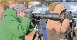  ?? Hearst Connecticu­t Media file photos ?? Bird watchers photograph a sprite northern saw owl during the Opening Day Celebratio­n of the Shepaug Dam Bald Eagle Observatio­n Area on Saturday, Dec. 16, 2017, in Southbury.