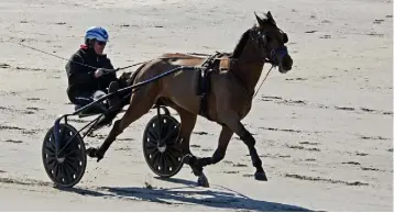  ?? PHOTO: DENIS BOYLE ?? Denis O’Reilly from Drimoleagu­e and his horse Emperor Sovereign on Inchydoney Island, West Cork last weekend.