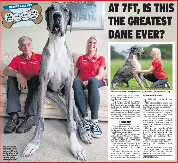 ?? Picture: MATTHEW HORWOOD/WALES NEWS ?? Major shares the sofa with owners Brian and Julie, who say the giant hound is an ‘absolute star’ Exercise for Major who prefers to go to sleep...for 22 hours a day