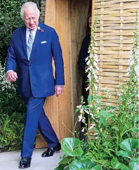  ?? ?? King of the blues: Charles inspects the blooms at Chelsea