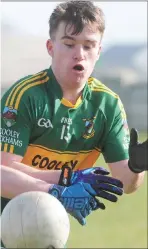  ??  ?? Michael Kane, Cooley Kickhams.