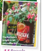  ??  ?? The fuchsia’s bright in an old coffee tin!