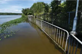  ?? PHOTOS BY BARRY GRAY, THE HAMILTON SPECTATOR ?? A large section of the waterfront trail between the carp barrier and Princess Point is flooded and remains closed. But that hasn’t stopped antsy users, including 70 caught by an automatic counter trespassin­g on a recent Sunday.