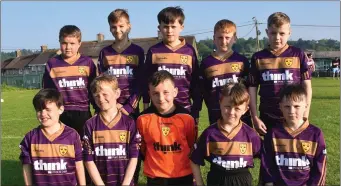  ??  ?? Wexford Albion. Back (from left): Eoghan McCleane, Filip Wasilewski, Darragh McLaughlin, James Kirby (capt.), Seán O’Connor. Front (from left): Adam Furlong, Logan Byrne, Conor Shortall, Darragh Mallon, Rory O’Connor.