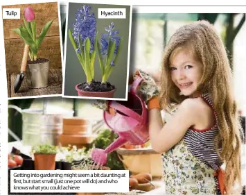  ??  ?? Getting into gardening might seem a bit daunting at first, but start small (just one pot will do) and who knows what you could achieve Tulip Hyacinth