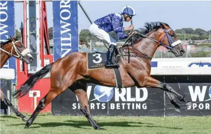  ??  ?? CLASSIC ENTRY. Soqrat, winner of the Grade 1 Cape Guineas, is one of four runners from the Mike de Kock yard entered in the R2-million SA Classic (Grade 1) over 1800m at Turffontei­n on Saturday 2 March.