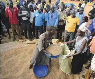  ?? ALBERT GONZALEZ FARRAN AGENCE FRANCE-PRESSE ?? Des réfugiés du Soudan du Sud tout juste arrivés en Ouganda lors d’une distributi­on de sorgho.