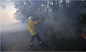  ??  ?? A firefighte­r attempts to contain an out-of-control bushfire in Bomaderry, near Nowra on theNSW south coast. Photograph: Lukas Coch/AAP