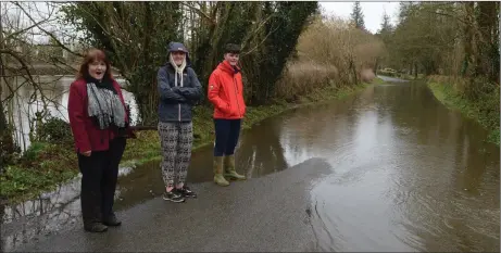  ??  ?? Elizabeth, Katie and Jack O’Sullivan check out the burst banks of the River Finnow at Dooneen near Millstreet. Picture John Tarrant