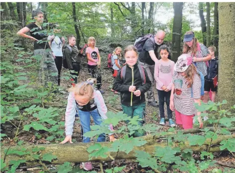  ?? FOTO: ROLAND KEUSCH ?? Die Kinder sind bei der Tour den Geheimniss­en des Waldes auf der Spur.